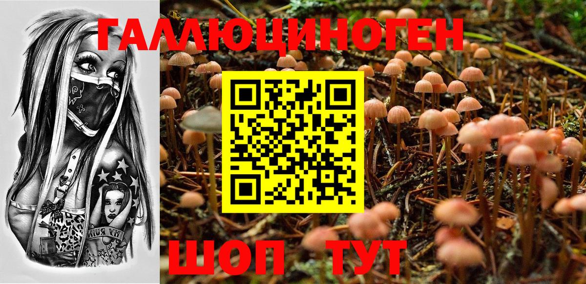 Галлюциногенные грибы MAGIC MUSHROOMS  Вход с VPN  Ульяновск 